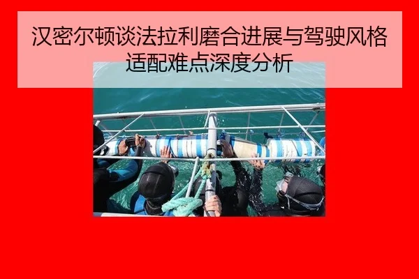 han-mi-er-dun-tan-fa-la-li-mo-he-jin-zhan-yu-jia-shi-feng-ge-shi-pei-nan-dian-shen-du-fen-xi-2-259.jpg